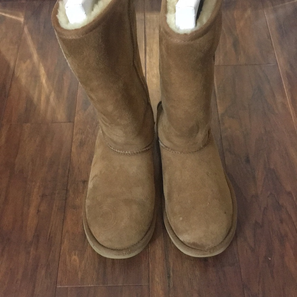 Tall Ugg Boots Chestnut Brown